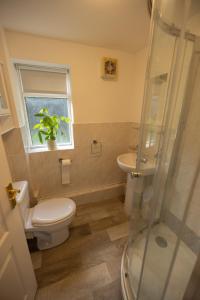 a bathroom with a toilet and a sink and a window at The Cottage On the Common in Tenbury