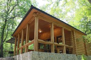 Cabaña de madera en el bosque con ventana grande en Shavit Village Glamping, en Akhatani