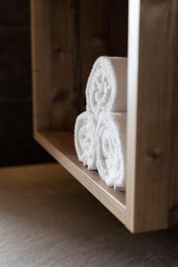 Zdjęcie z galerii obiektu Apartments am Bichl w mieście Fulpmes