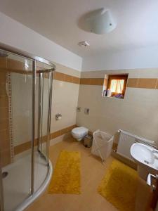 a bathroom with a shower and a toilet and a sink at Bubba Vendégház in Füzér