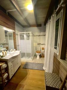 La salle de bains est pourvue de toilettes, d'un lavabo et d'une douche. dans l'établissement Mahogany Lodge - Oasis cosy, à Rivière-Pilote