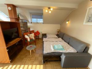 una pequeña sala de estar con sofá y TV en Apartment Kranj - huge terrace, free P, WI - FI, AC, en Kranj