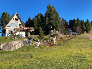 une maison sur une colline avec des animaux dans un champ dans l'établissement Cozy Mountain Chalet, à Cavalese
