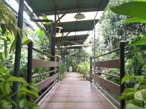 a wooden walkway in a greenhouse with plants at The Green Winotosastro Hotel Yogyakarta in Yogyakarta