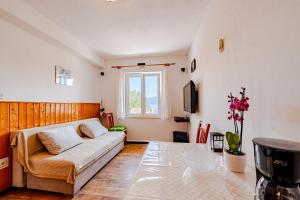 - un salon avec un canapé et une table dans l'établissement Siriščević Apartment, à Korčula