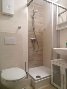 a bathroom with a shower and a toilet and a sink at FeWo Eisblume. Erholung im wunderschönem Harz! in Altenau