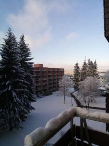 a balcony with snow covered trees and a building at FeWo Eisblume. Erholung im wunderschönem Harz! in Altenau