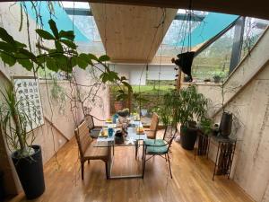 una habitación con una mesa y algunas plantas y un gato en L'Atelier de Gisèle, en Oberhaslach