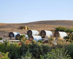 Midreshet Ben Gurion的住宿－卡梅阿沃达特农场酒店，停在田野里的一群白色拖车