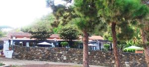 une maison avec un mur en pierre et des palmiers dans l'établissement Casa Finca Doñana, à Arucas
