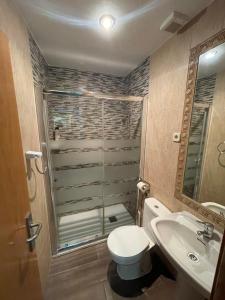 a bathroom with a shower and a toilet and a sink at Hostal Tres Hermanos in Getafe