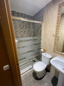 a bathroom with a toilet and a shower and a sink at Hostal Tres Hermanos in Getafe