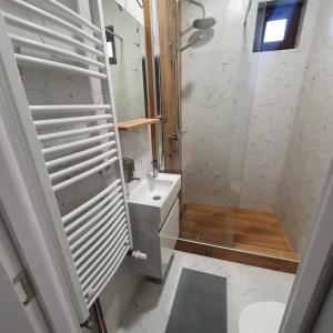 uma casa de banho com um chuveiro, um WC e um lavatório. em Che Private Rooms Banovci em Novi Banovci