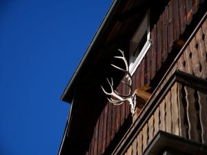 a white antler hanging on the side of a building at Rinken 9 in Hinterzarten