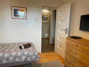 Televízia a/alebo spoločenská miestnosť v ubytovaní Apartament Mieszka