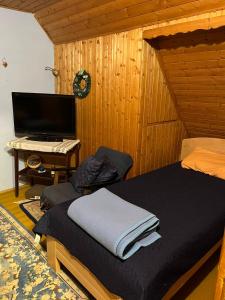 1 dormitorio con 1 cama y escritorio con TV en Zelena oaza en Divčibare