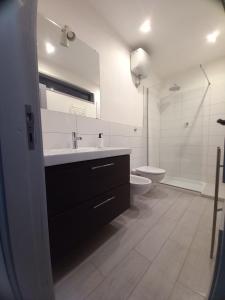 un bagno con lavandino e WC di L' Antico Comune a Cavriglia