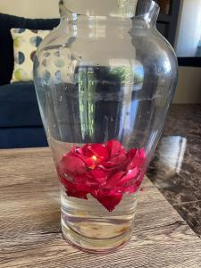 a glass vase with a red rose in the water at Riambel Paradise Inn Room 3 in Riambel