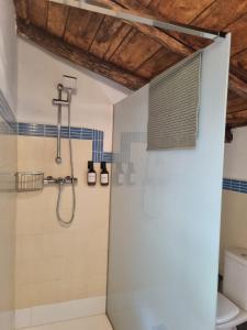 a bathroom with a shower and a toilet at Finca las Cabrillas La Nava in La Nava