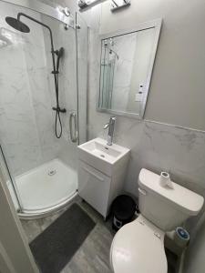 a bathroom with a toilet and a sink and a shower at Le Convivial in Rouyn-Noranda