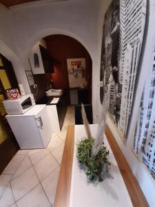 Kuchyňa alebo kuchynka v ubytovaní Studio Apartments Fancy 2