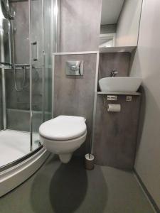 a bathroom with a toilet and a sink and a shower at Bedroom in apartment 12 minutes to Oslo City by train in Oslo