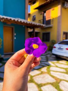 a person holding a purple flower in their hand at Recanto das Tiribas in Ilhabela