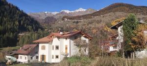 Cảnh núi rừng hoặc tầm nhìn ra núi từ căn hộ +9 ảnh