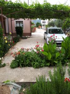 Apartman Laura في قشتيلا: حديقة فيها ورد وسيارة متوقفة في ممر