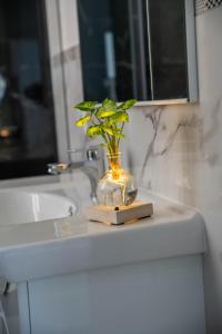 una pianta in un vaso seduta su un lavandino del bagno di B&B Carpe Diem a Castel Gandolfo