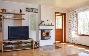 sala de estar con TV y chimenea en Beautiful Home In Hyltebruk With Lake View en Hyltebruk