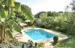 a swimming pool in a garden with a palm tree at Lovely Home In Saint-Pée-Sur-Nivelle in Saint-Pée-sur-Nivelle +4 photos