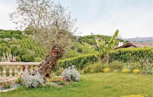 a garden with a tree in the middle of a yard at Lovely Home In Saint-Pée-Sur-Nivelle in Saint-Pée-sur-Nivelle