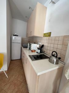 Kuchyňa alebo kuchynka v ubytovaní Wash House Apartman