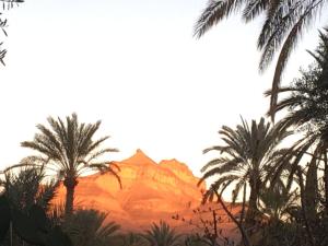Foto dalla galleria di Riad Tabhirte a Agdz