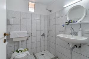 a bathroom with a sink and a toilet and a mirror at Krinos apartment 1 