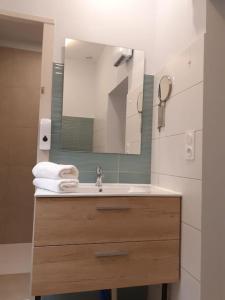 une salle de bain avec un lavabo et un miroir dans l'établissement L'Ancestrale, Beau T2, à Limoux 5 autres photos