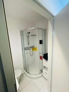 a bathroom with a shower and a toilet at Studio 88 in Wrocław