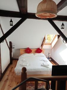 a bedroom with a bed in a attic at Residence Gölsch 161 in Sînpetru