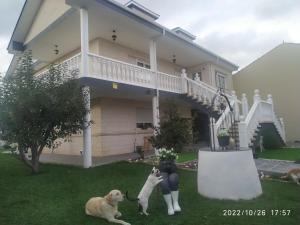 um cão e uma mulher em pé em frente a uma casa em Miradoralaribera Chalet rural em Alcoba de la Ribera