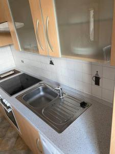 - une cuisine avec un évier et un comptoir dans l'établissement Residence Da Thea, à Clausthal-Zellerfeld