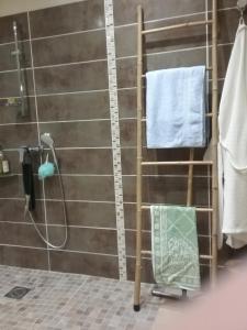 wieszak na ręczniki w łazience z prysznicem w obiekcie les petites roches w mieście Saint-Fortunat-sur-Eyrieux