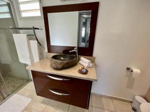 een badkamer met een wastafel en een spiegel bij Villas O Soleil in Sainte-Rose