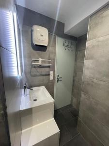 a small bathroom with a sink and a shower at Au coeur des Alpes 3 in La Roche-sur-Foron