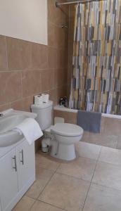 La salle de bains est pourvue de toilettes, d'un lavabo et d'une douche. dans l'établissement Alexander Apartments North Shields, à South Shields
