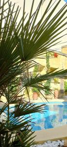 een palmboom voor een zwembad bij Ta' Didi B&B in Kerċem