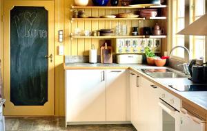 Kuchyň nebo kuchyňský kout v ubytování Beautiful Home In Uvdal With Kitchen