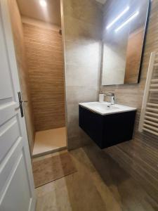 a bathroom with a sink and a shower at Appartement Premium dans une belle demeure - Hyper centre-ville de Reims in Reims
