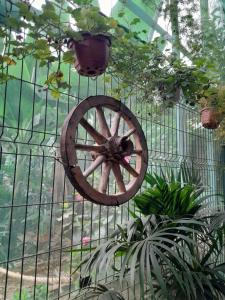 Zahrada ubytování Tenerife Homestay