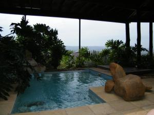 a swimming pool with a rock in the middle at Addo Dung Beetle Guest Farm in Addo